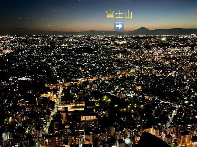 富士山网红打卡点黑色屏障网的破洞现象安全与美观的博弈-第1张图片-彩蝶百科
