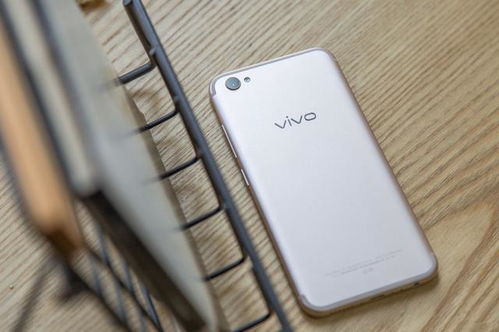好的人像自然会让光来说,vivo S16 系列新机将于今晚正式发布-第1张图片-彩蝶百科
