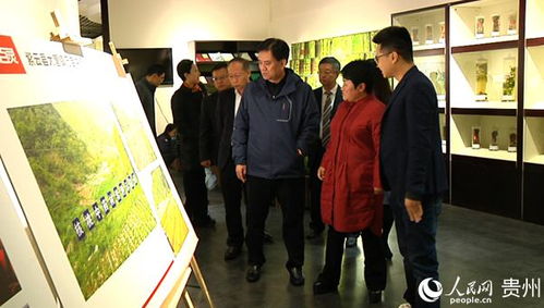 县（市区）政协双推协商进景区乡村旅游促振兴-第1张图片-彩蝶百科