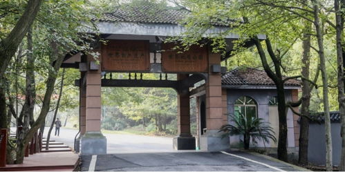 江西仙侠梦高昂费用背后的景区之困-第1张图片-彩蝶百科 江西仙侠梦高昂费用背后的景区之困-第1张图片-彩蝶百科