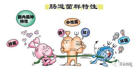 贲门癌复发转移的风险因素及预防治疗策略-第1张图片-彩蝶百科 贲门癌复发转移的风险因素及预防治疗策略-第1张图片-彩蝶百科