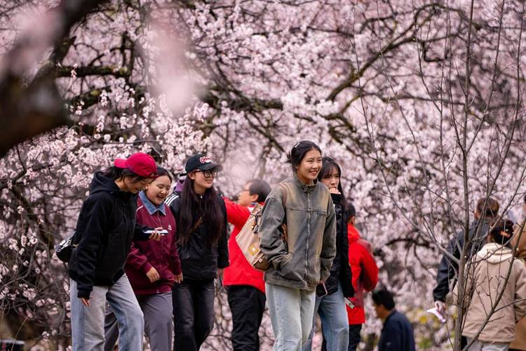 世园会满月八方游客共赴繁花之约赏花流量带动消费新场景丨成都发展-第1张图片-彩蝶百科 世园会满月八方游客共赴繁花之约赏花流量带动消费新场景丨成都发展-第1张图片-彩蝶百科