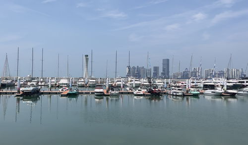 芳村码头迎来新机遇未来游船直通海南西沙群岛的梦想即将成真-第1张图片-彩蝶百科
