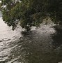 东湖绿心,磨山古韵穿越千年的岛屿之旅-第1张图片-彩蝶百科 东湖绿心,磨山古韵穿越千年的岛屿之旅-第1张图片-彩蝶百科