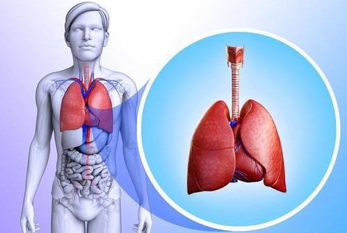 得了肺癌化疗后胸痛是什么原因,怎么改善?-第1张图片-彩蝶百科 得了肺癌化疗后胸痛是什么原因,怎么改善?-第1张图片-彩蝶百科