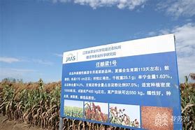 东方鼎周报从原粮到美酒,铸造产品品质之魂-第1张图片-彩蝶百科 东方鼎周报从原粮到美酒,铸造产品品质之魂-第1张图片-彩蝶百科