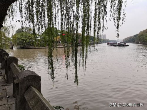 小河直街杭州运河文化的最后守望者-第1张图片-彩蝶百科 小河直街杭州运河文化的最后守望者-第1张图片-彩蝶百科