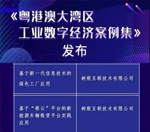 跨境就医潮涌共促大湾区医疗互联互通-第1张图片-彩蝶百科