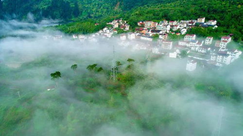汕尾!国家级旅游景区!-第1张图片-彩蝶百科 汕尾!国家级旅游景区!-第1张图片-彩蝶百科
