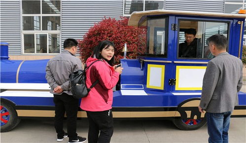 观光小火车造价多少钱-第1张图片-彩蝶百科 观光小火车造价多少钱-第1张图片-彩蝶百科