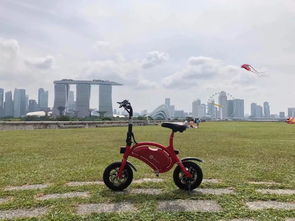新加坡媒体:更多中国电动车驶上坦桑尼亚道路上-第1张图片-彩蝶百科 新加坡媒体:更多中国电动车驶上坦桑尼亚道路上-第1张图片-彩蝶百科