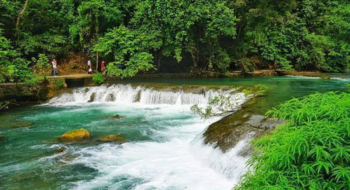 夏日玩水好去处,韶关黄石清溪景区人气旺-第1张图片-彩蝶百科 夏日玩水好去处,韶关黄石清溪景区人气旺-第1张图片-彩蝶百科