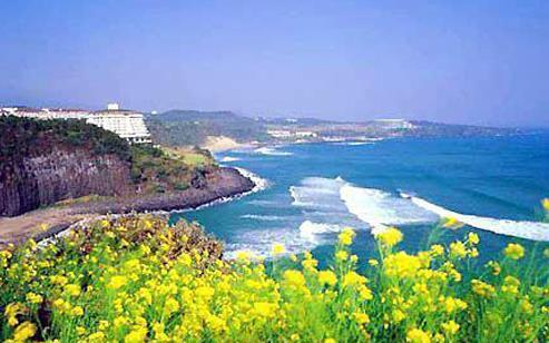 放假去青海旅游自由行景点攻略,吃喝玩乐全掌握-第1张图片-彩蝶百科 放假去青海旅游自由行景点攻略,吃喝玩乐全掌握-第1张图片-彩蝶百科