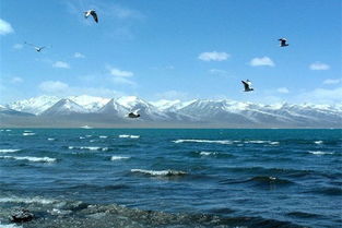 去青海旅游天晚游玩攻略,避开旅游陷阱,轻松省钱-第1张图片-彩蝶百科 去青海旅游天晚游玩攻略,避开旅游陷阱,轻松省钱-第1张图片-彩蝶百科