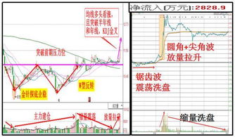 今日只个股突破年线-第1张图片-彩蝶百科