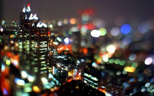 人集合!夜色下的碑林超好玩!-第1张图片-彩蝶百科 人集合!夜色下的碑林超好玩!-第1张图片-彩蝶百科