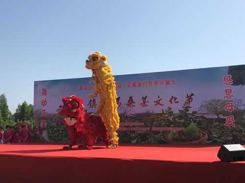 六巷乡人大:宣传两部条例,助推乡村振兴-第1张图片-彩蝶百科 六巷乡人大:宣传两部条例,助推乡村振兴-第1张图片-彩蝶百科