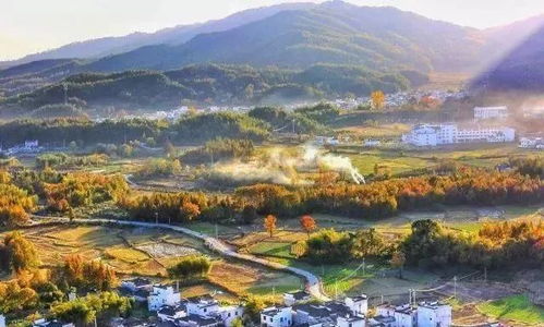 普者黑几月份去最美?月最佳时机,解锁绝美风光和民俗风情!-第1张图片-彩蝶百科 普者黑几月份去最美?月最佳时机,解锁绝美风光和民俗风情!-第1张图片-彩蝶百科