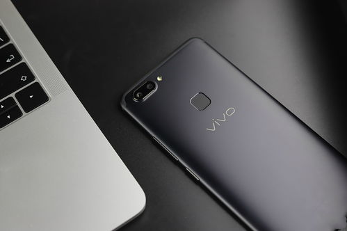 vivo难舍印度市场-第1张图片-彩蝶百科