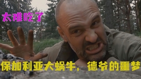 戴尔M15X，高性能移动工作站的全面评测-第1张图片-彩蝶百科