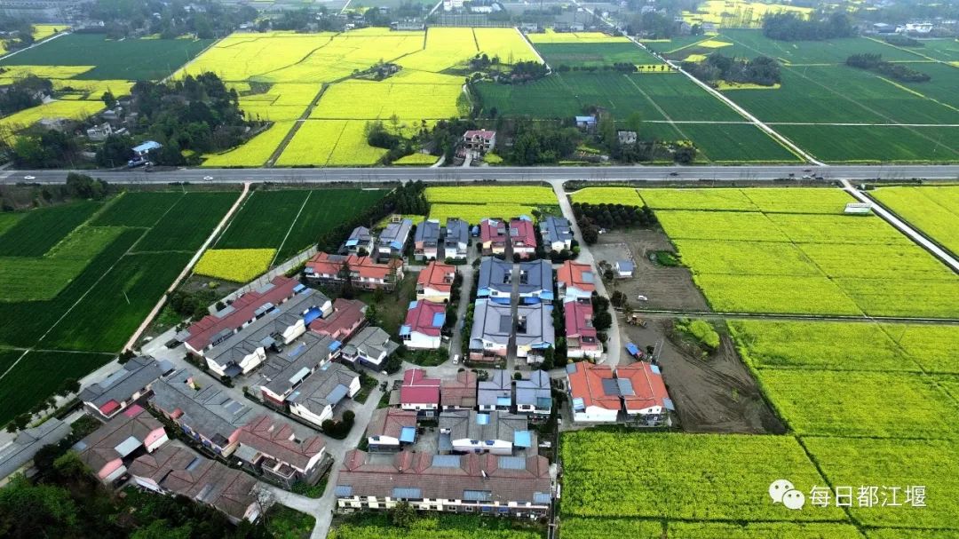 杭州小学教师骚扰多名初中生被停职，事件反思与教育伦理的重建-第1张图片-彩蝶百科
