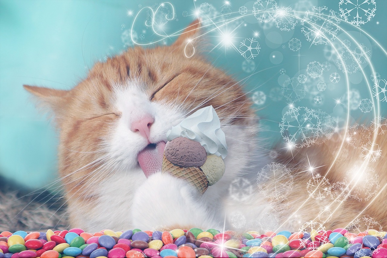 大猩猩隔着玻璃的比划，谢谢，吃不了-第1张图片-彩蝶百科