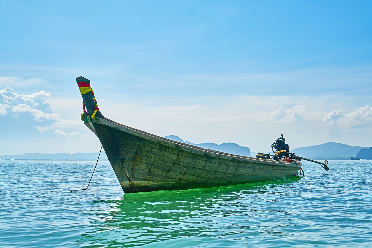 探索上海魅力，揭秘上海十佳导游的精彩旅程-第1张图片-彩蝶百科