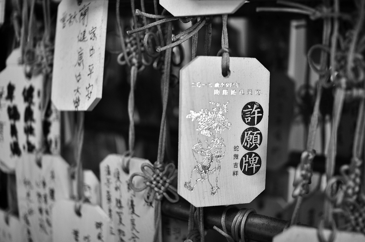 萌娘百科，莫妮卡的奇幻冒险与二次元文化的深度解析-第1张图片-彩蝶百科