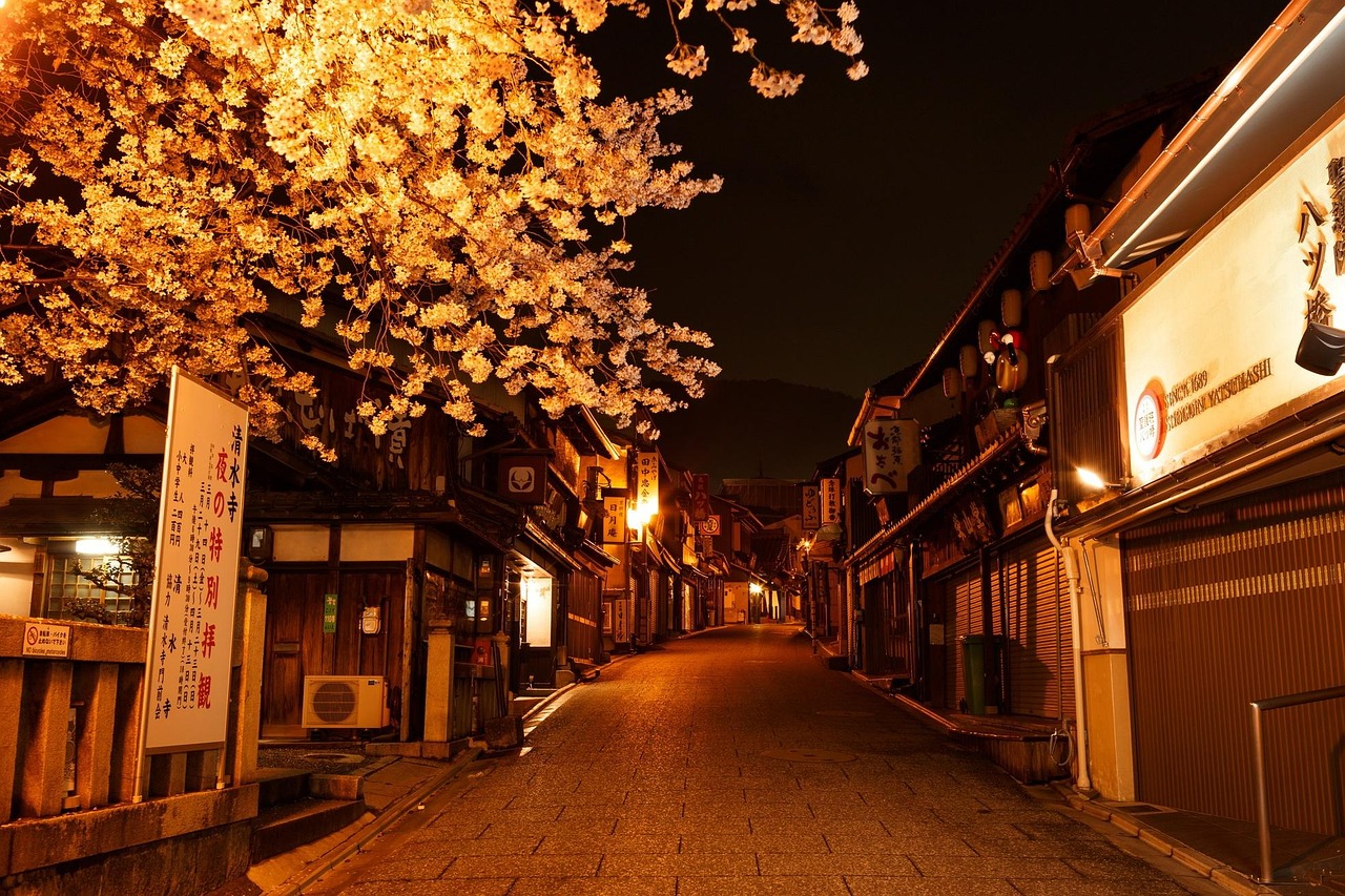 西安旅游住宿指南，如何选择最适合的住宿地点-第1张图片-彩蝶百科